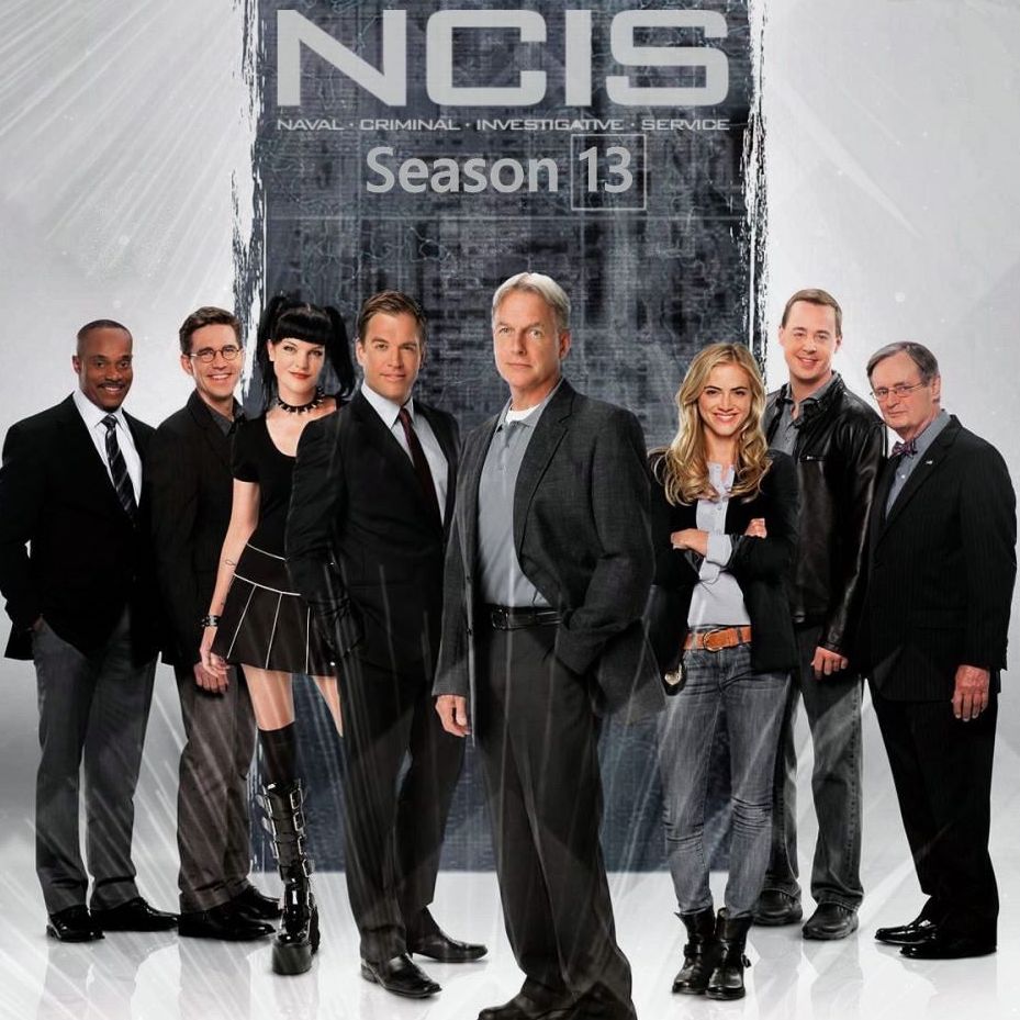 Cast standing above the title. Season 13