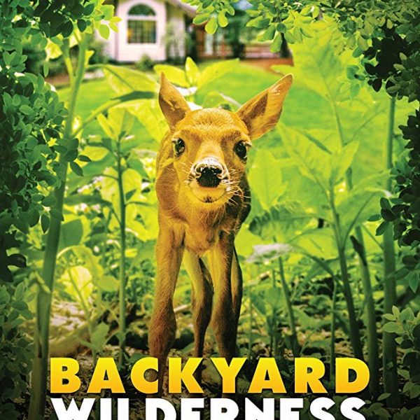 backyard wilderness poster, with an imager of a deer sniffing at the viewer