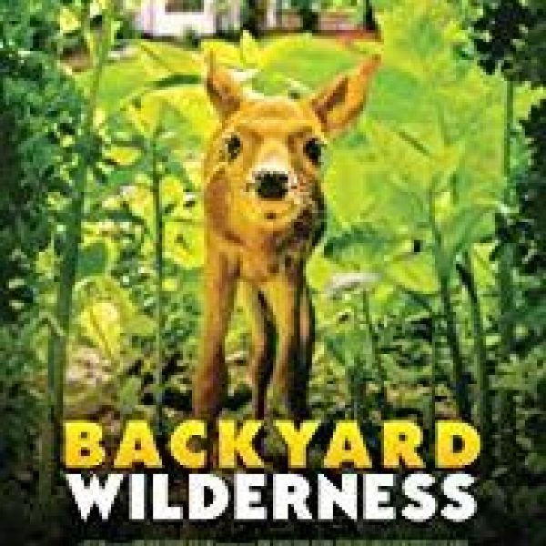 Backyard Wilderness with a cute animated deer looking apprehensive